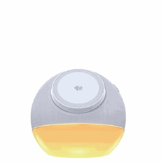 Wireless charger